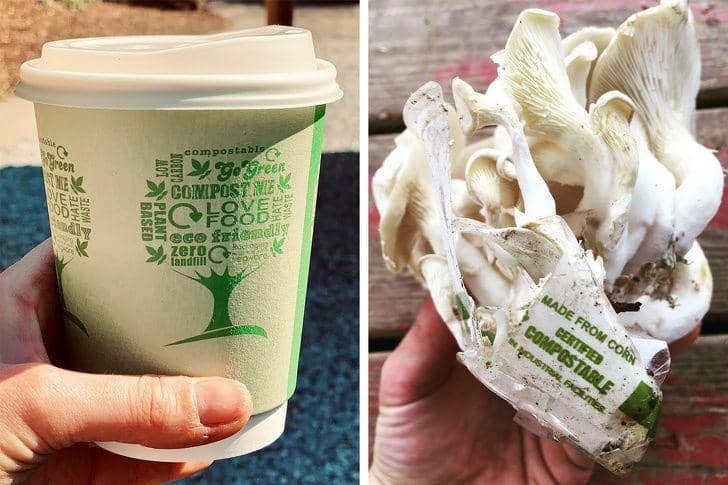 © livingrootscomposttea / Instagram