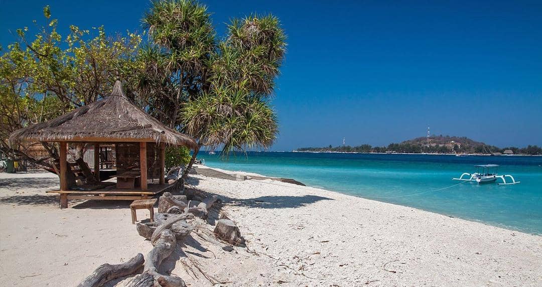 shutterstock/ Kasia Soszka