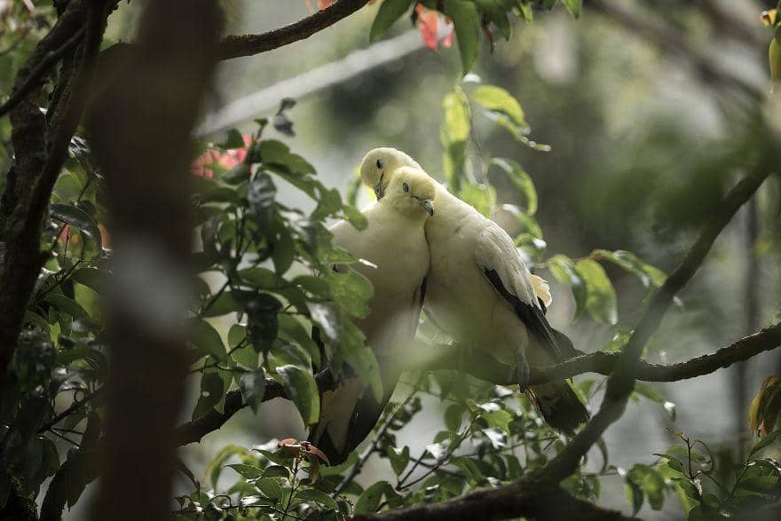 Boredpanda.com/Asadsungkar