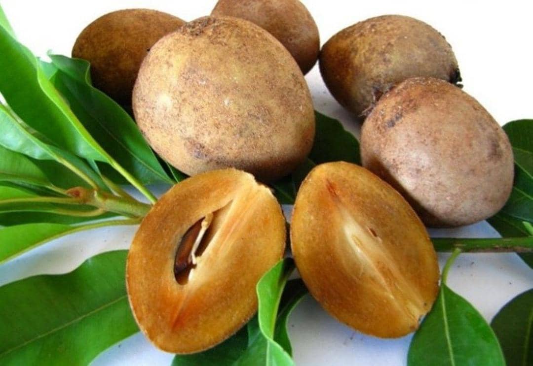 portraitnusantara.com