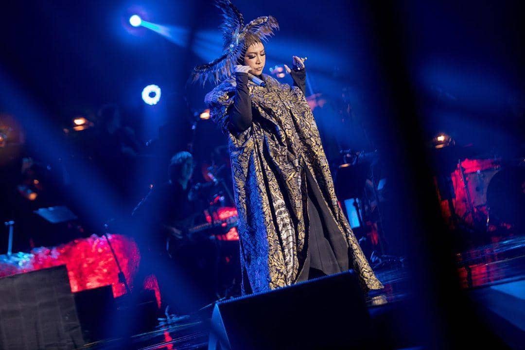 Instagram.com/melly_goeslaw