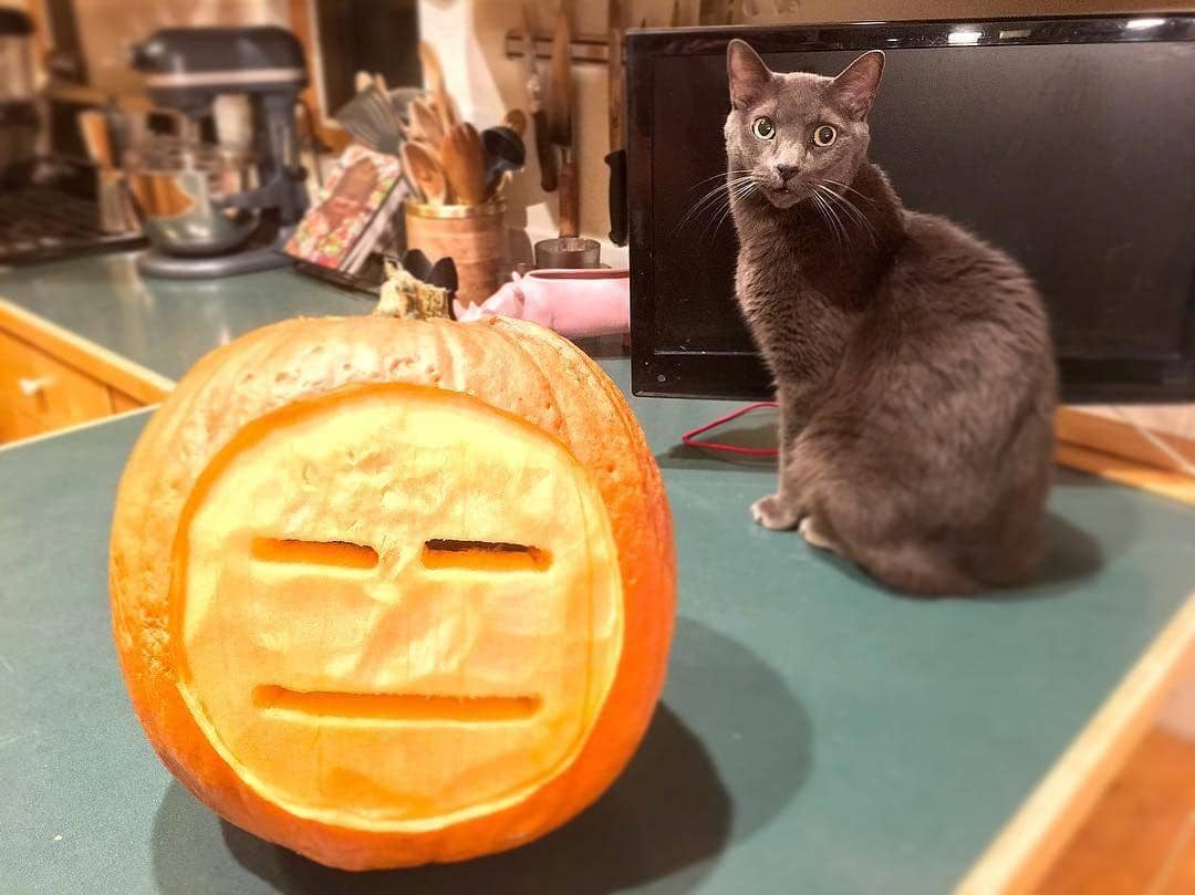 instagram.com/c4k3snffr/