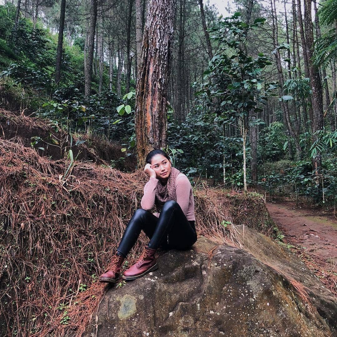 Instagram.com/josephinefirmstone