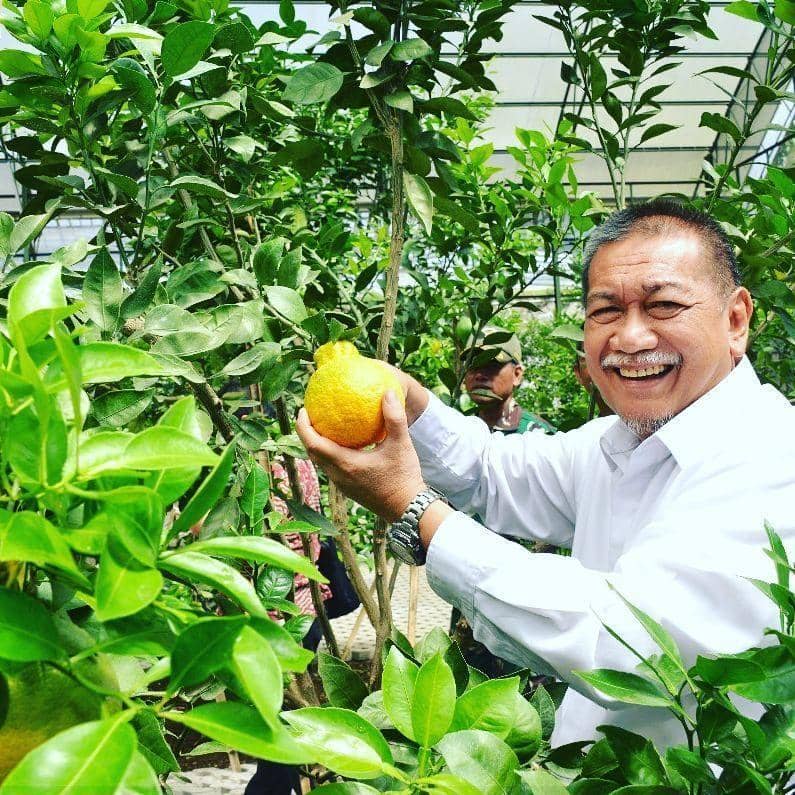 instagram.com/deddy_mizwar