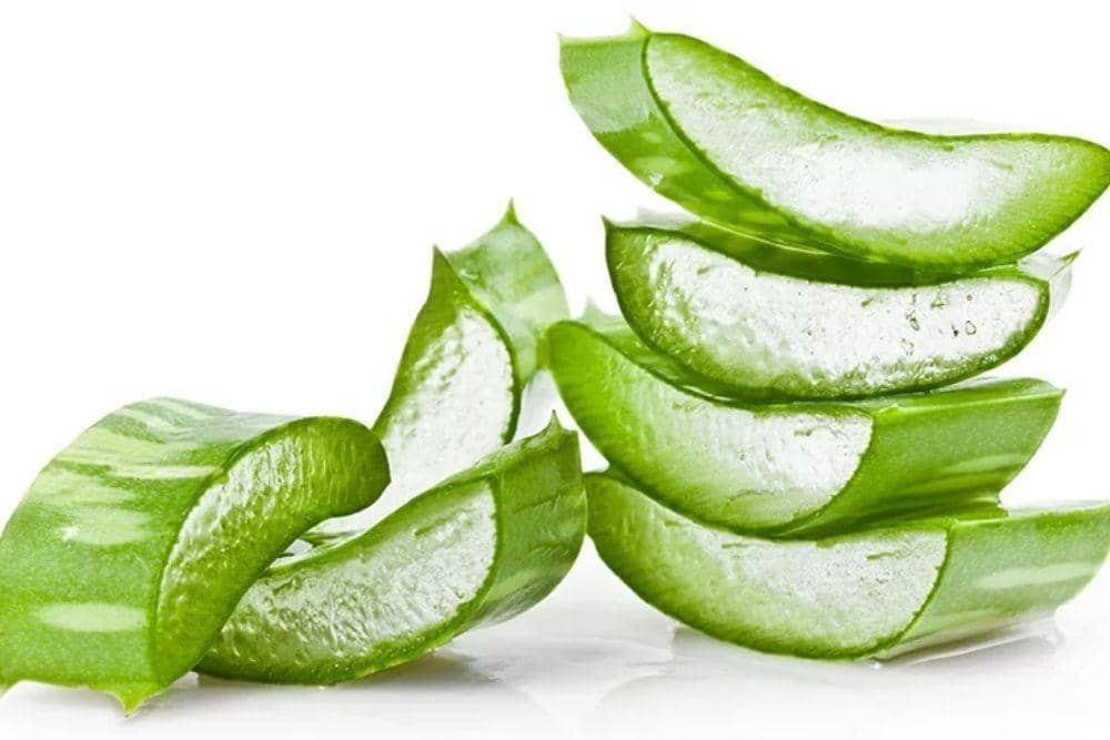 Laughingtreeorganics.com