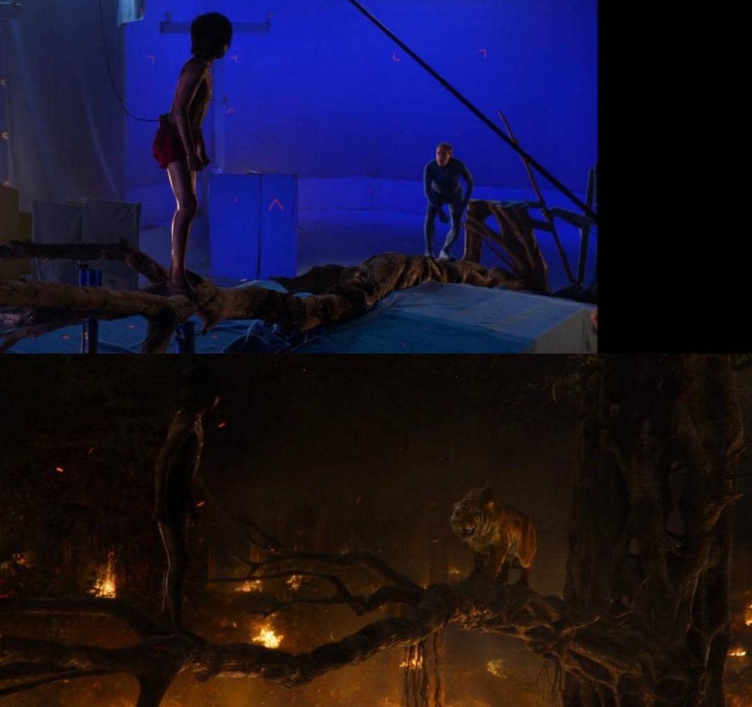 dok. Walt Disney Pictures