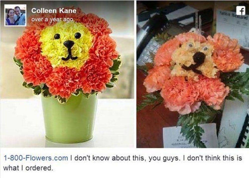 Facebook.com/public/Colleen-Kane