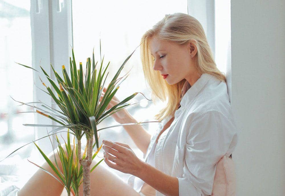 Pexels.com/Daria Shevtsova