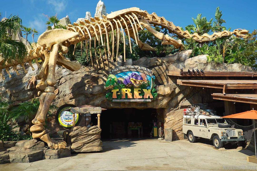 wdwmagic.com