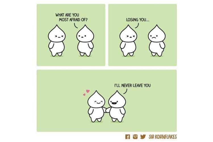 Instagram.com/sirkornflakes