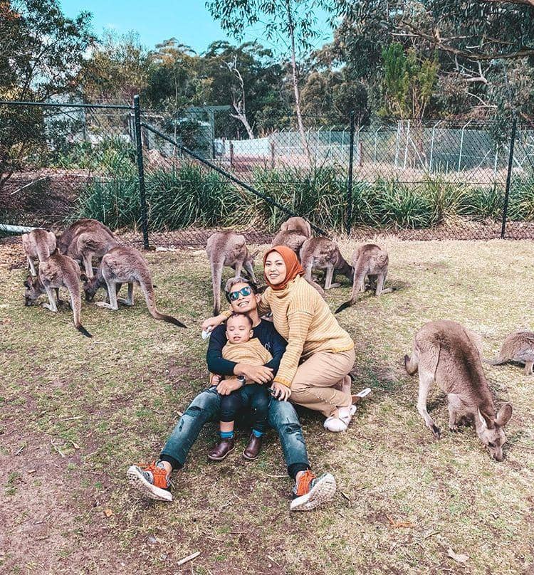 instagram.com/ okinthp