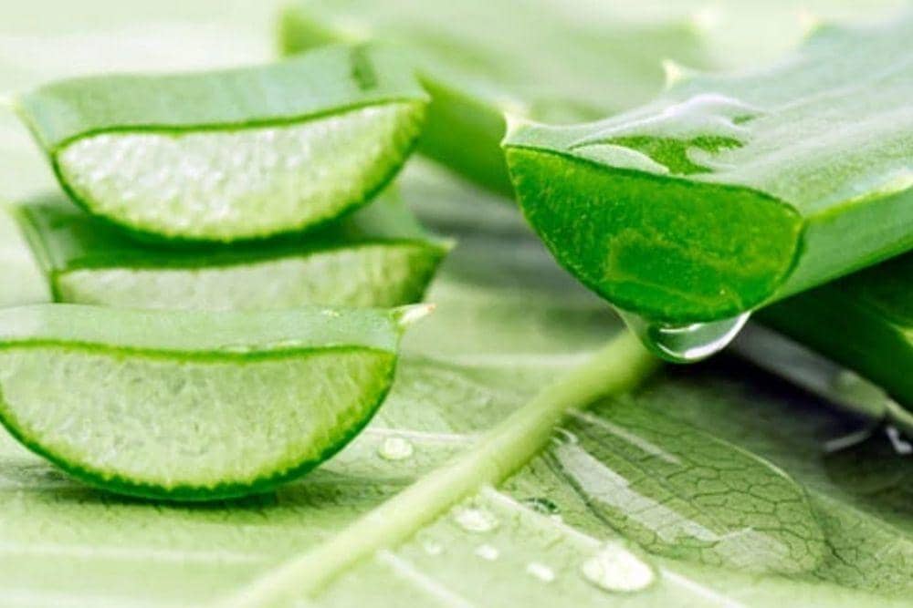 skinsensenatural.com