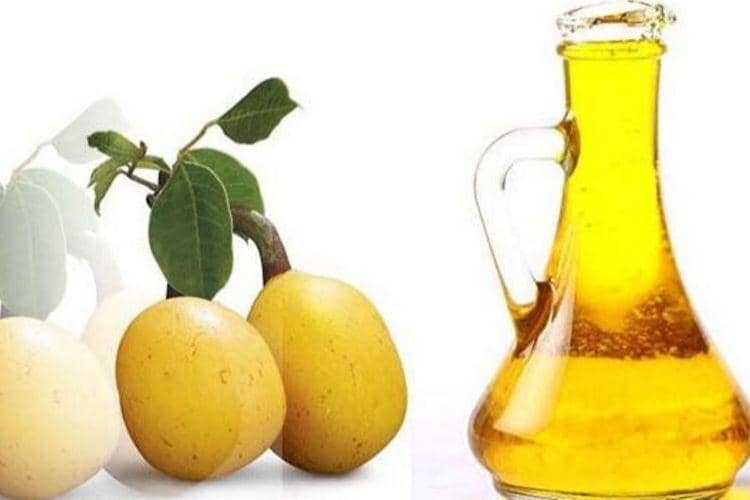 bloomingyourlifestyle.com