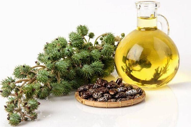 castoroilforhealth.com