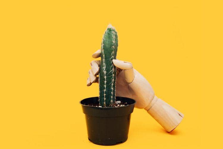 unsplash.com/@charlesdeluvio