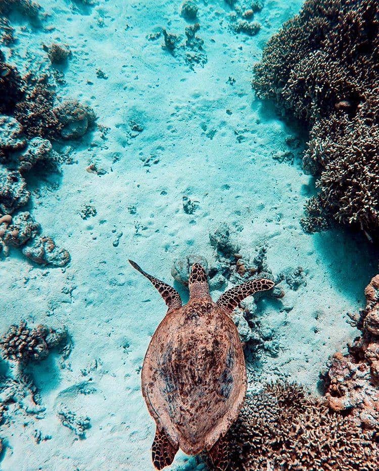 instagram.com/ lugostravel