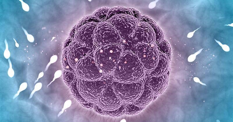 Freepik.com/kjpargeter