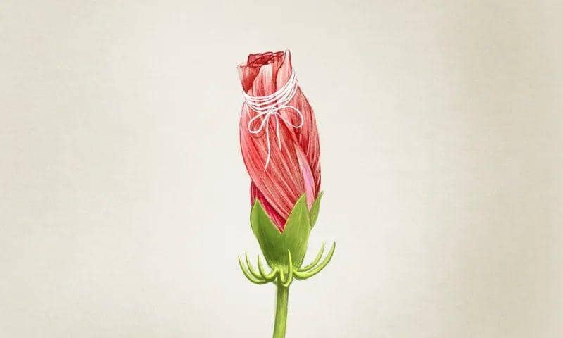 Unsplash.com/Illustration by Jim Cooke