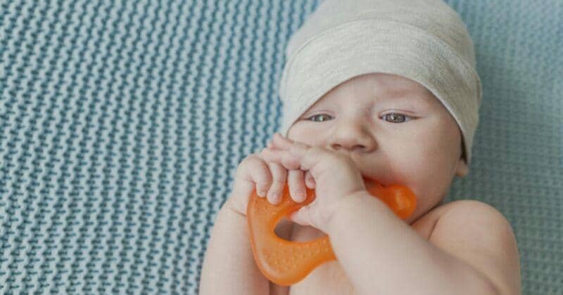 Freepik.com/Dragana Gordic