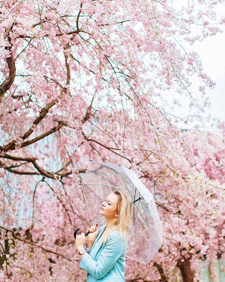 instagram.com/ miss_anastasia_u