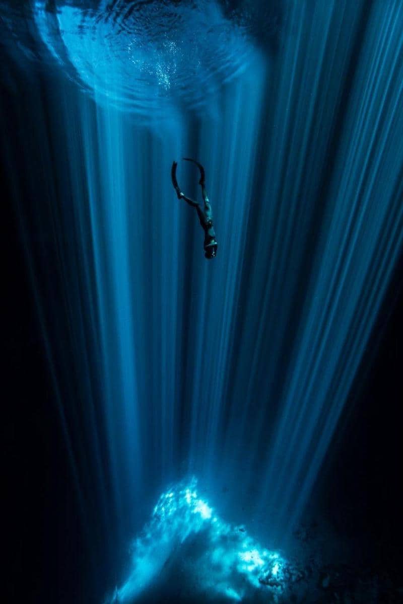 underwaterphotographeroftheyear.com