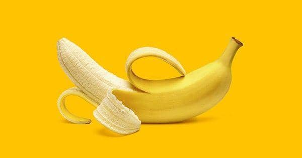 cortex.mikado-themes.com