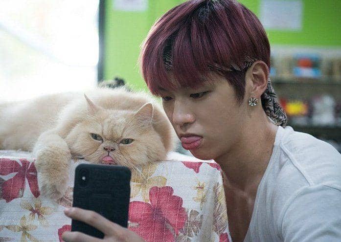 m.entertain.naver.com