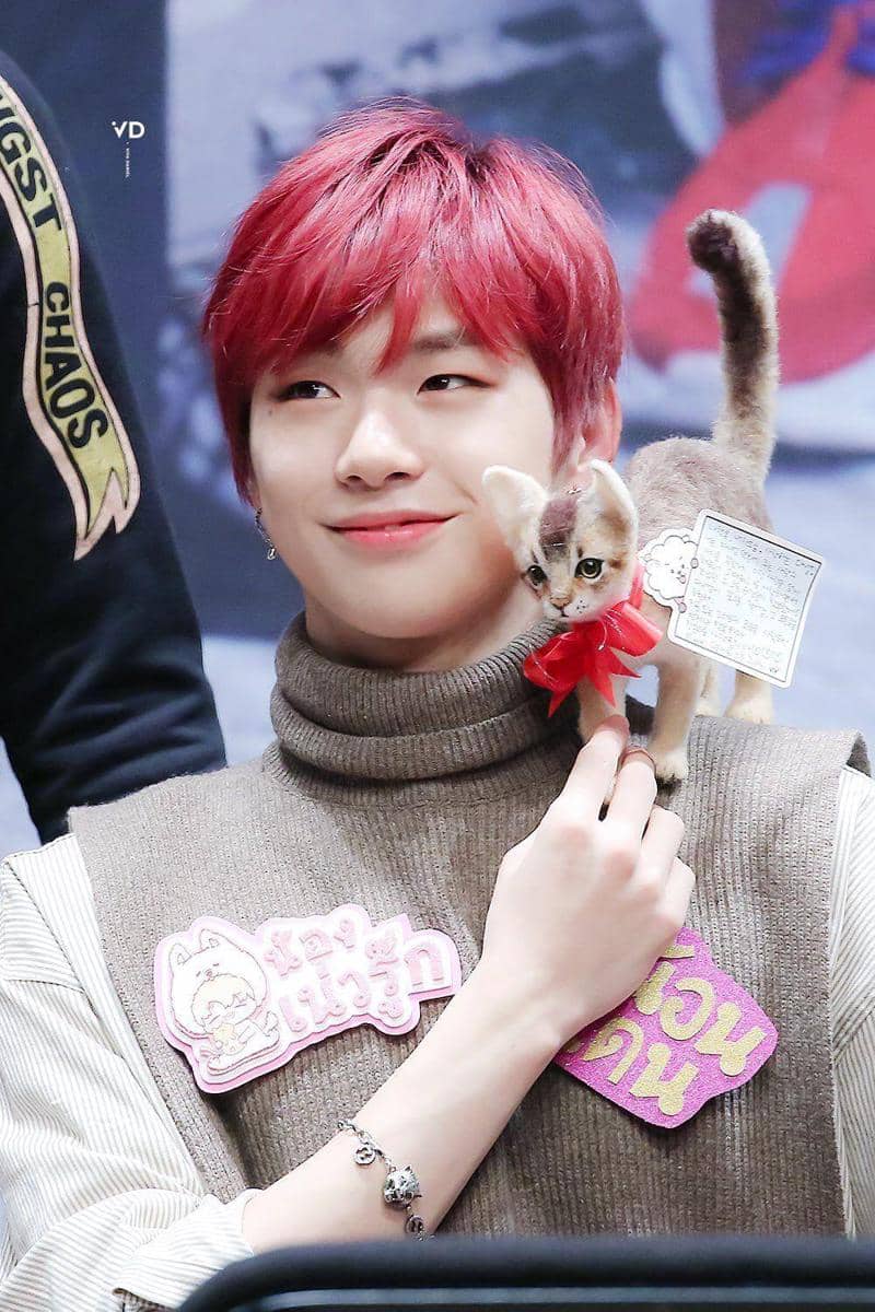 twitter.com/vivadaniel96