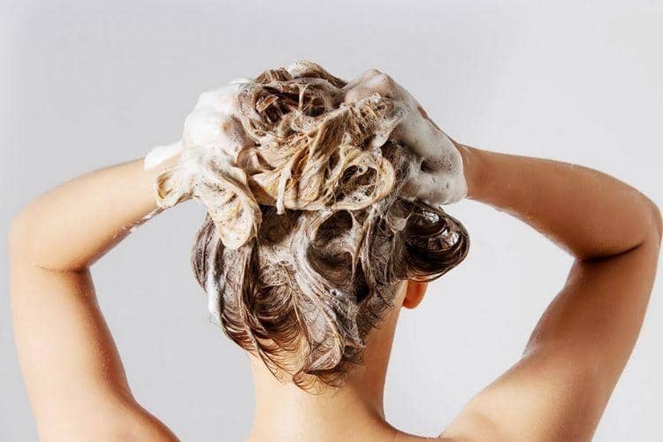 waterliliesandcompany.com