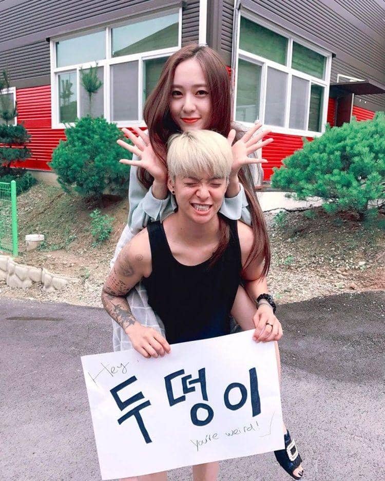 Instagram.com/ajol_ilama