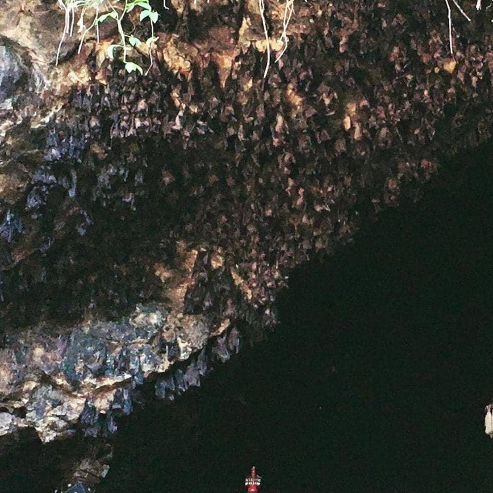 Instagram.com/amelie_rbl