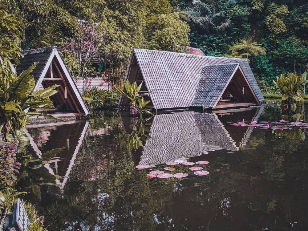 Instagram.com/nauzah