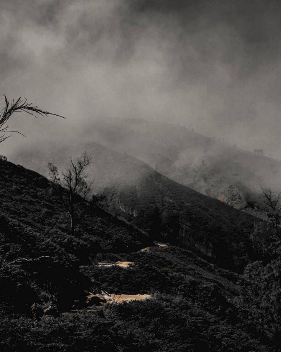 Instagram.com/alanprtama