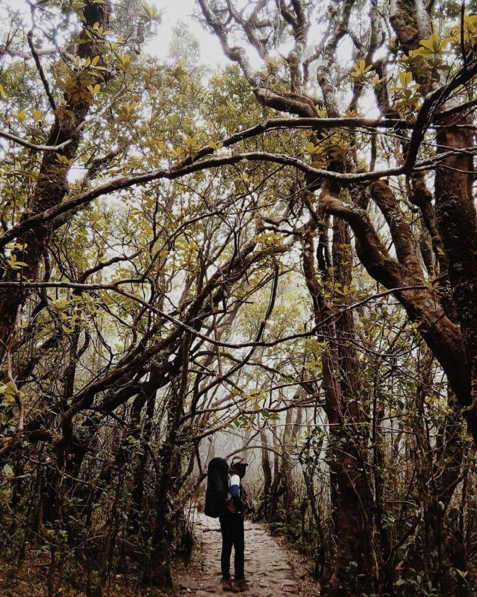 Instagram.com/nugraha_pepi