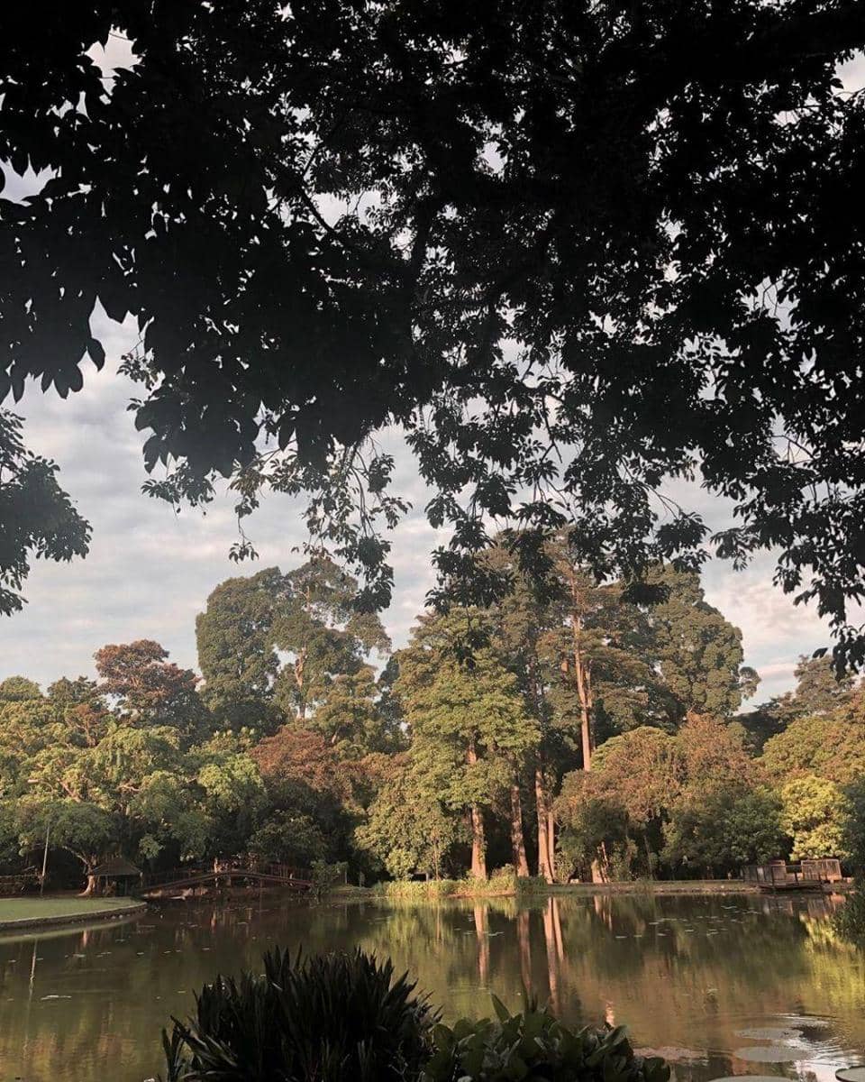 Instagram.com/ratnanovalia