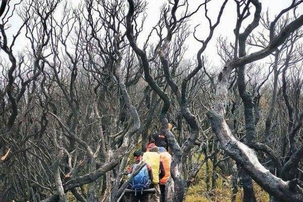 Instagram.com/ajjarya_