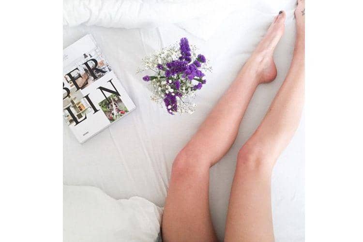 instagram.com/palomaparrot