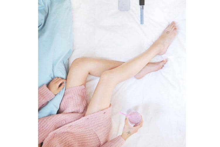 instagram.com/palomaparrot