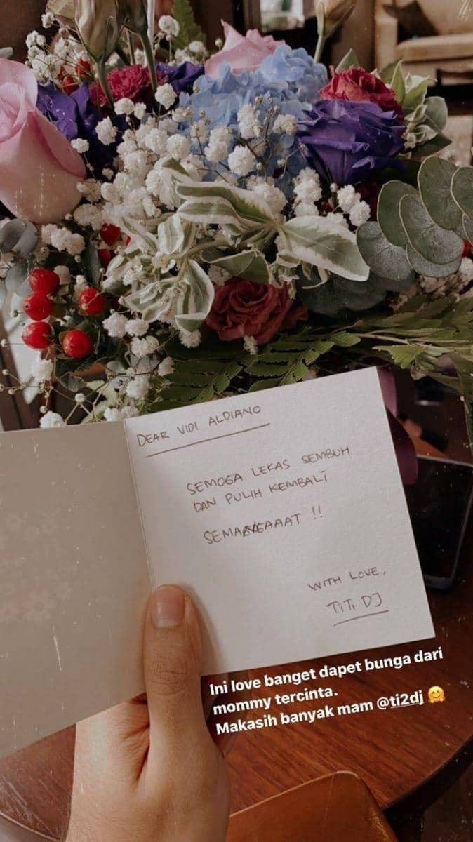 Instagram.com/@vidialdiano