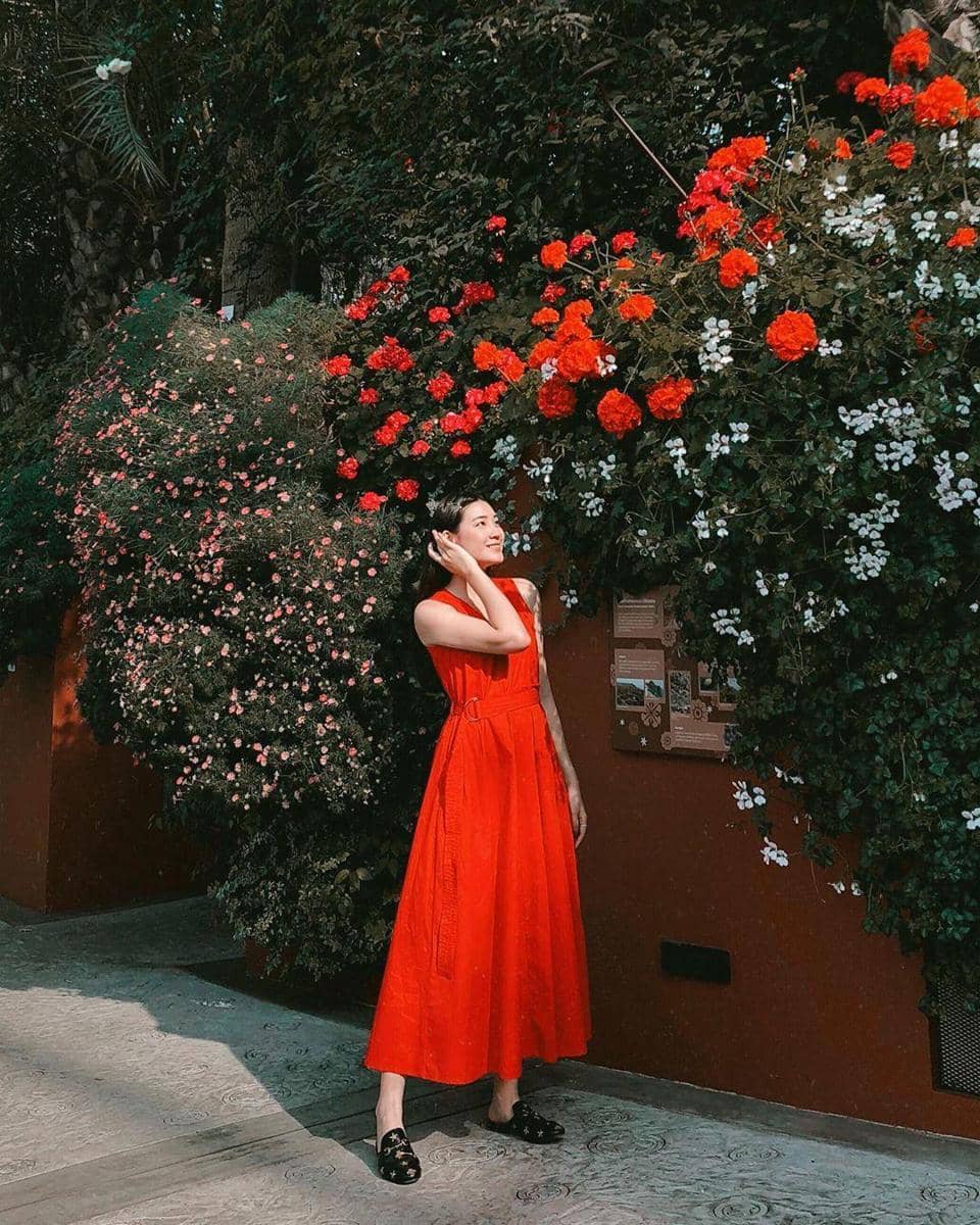 Instagram.com/pattdevdex