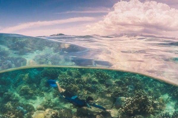 instagram.com/setapakkecil