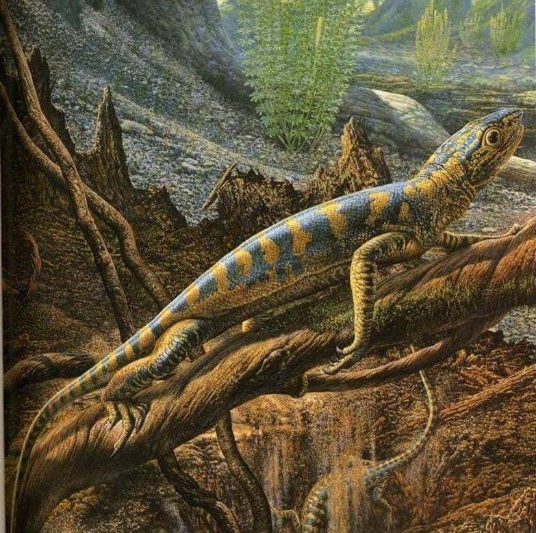 everythingdinosaur.co.uk