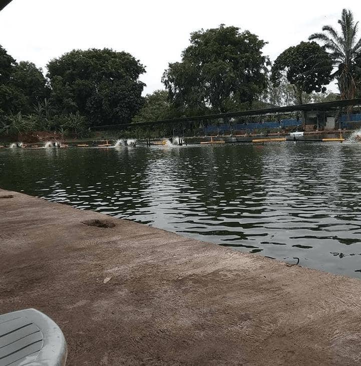 Instagram.com/joekerabat666