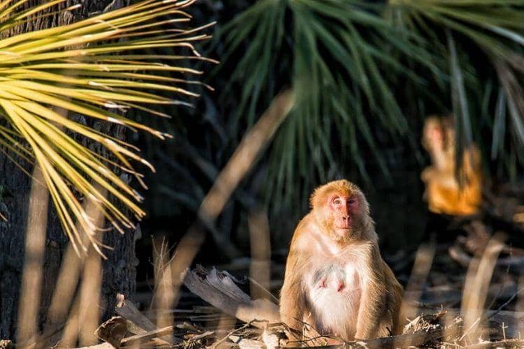 explorebeaufortsc.com