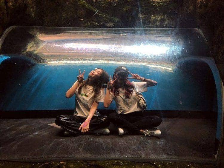 Instagram.com/sooyaaa__