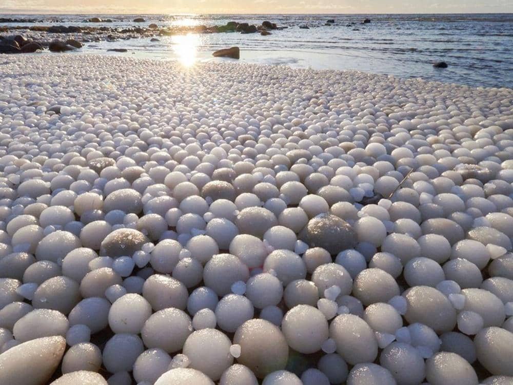 BBC News|Risto Mattila