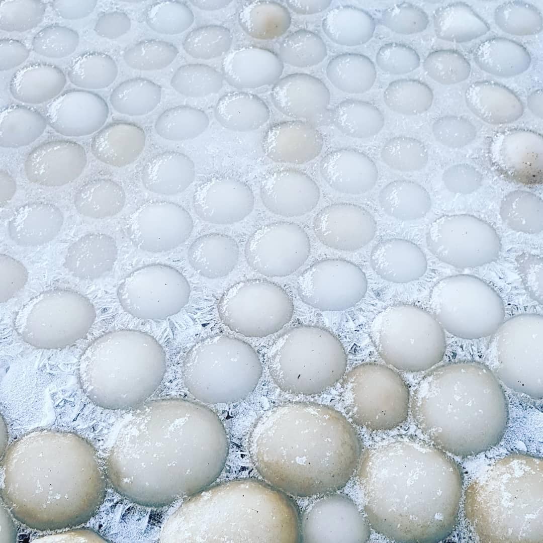 instagram.com/marjaran