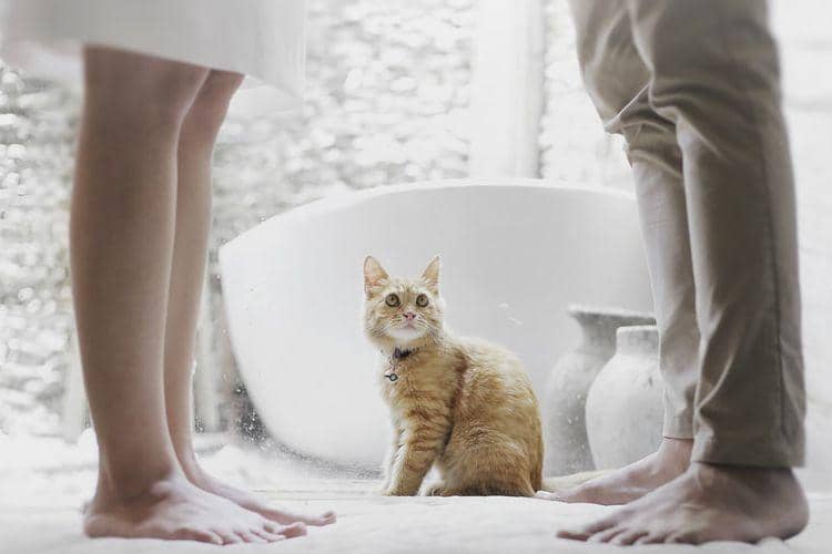 unsplash.com/@hutomoabrianto