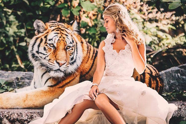 pixabay.com/SarahRichterArt