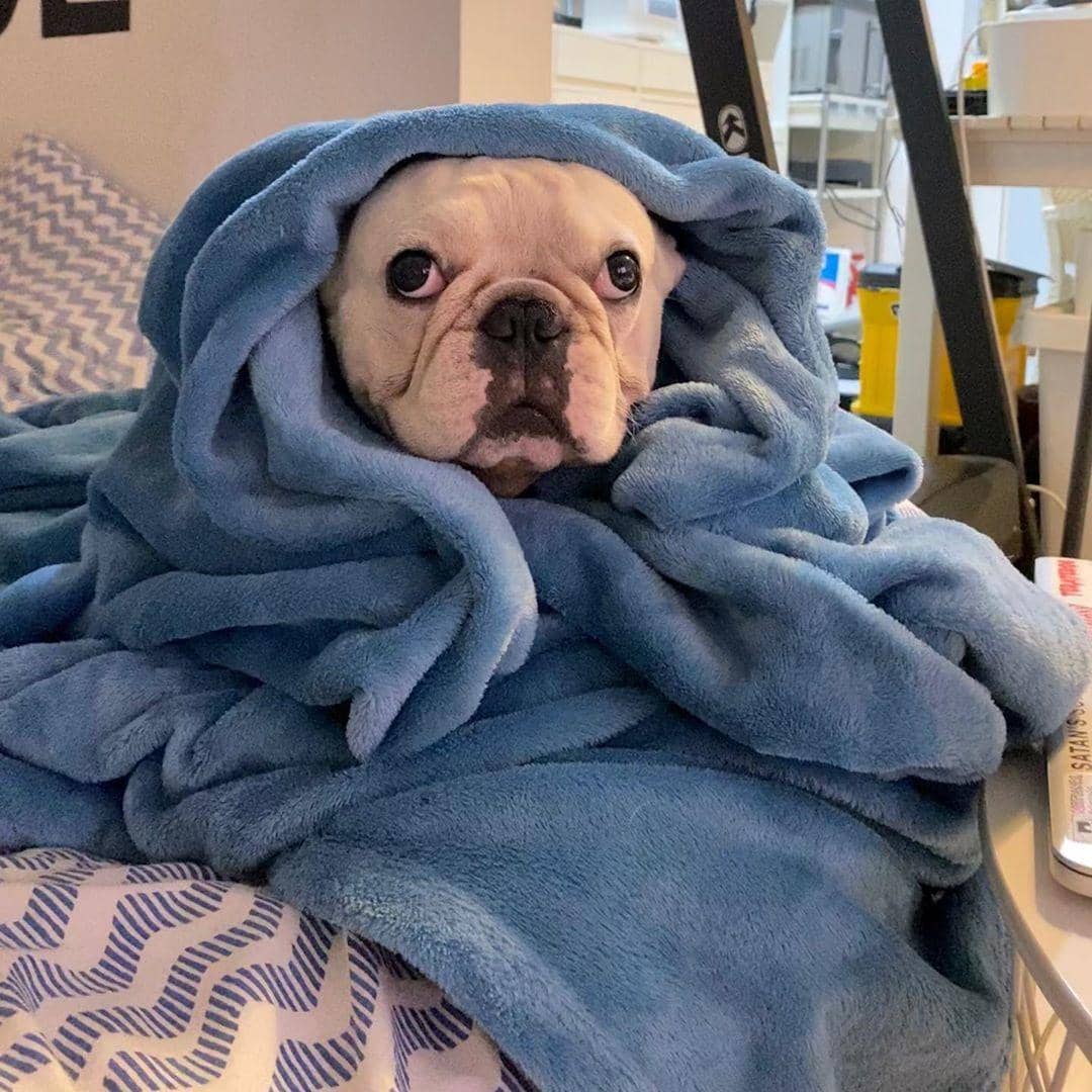 Instagram.com/ykhaamelz